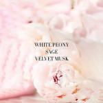 Eau de Parfum Rollerball Set